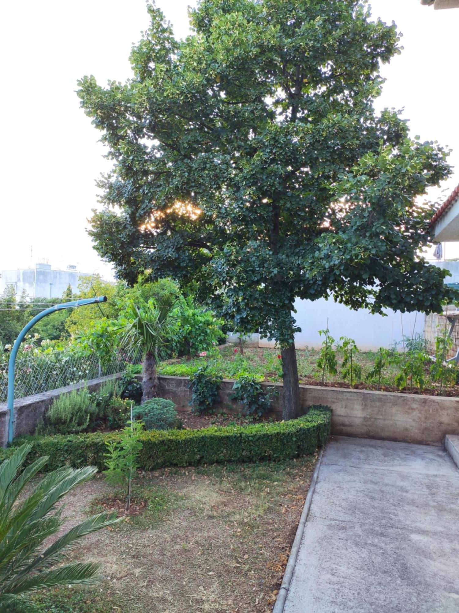 Apartment With Private Garden And The Terrace Ev Station Available Crikvenica Exterior foto